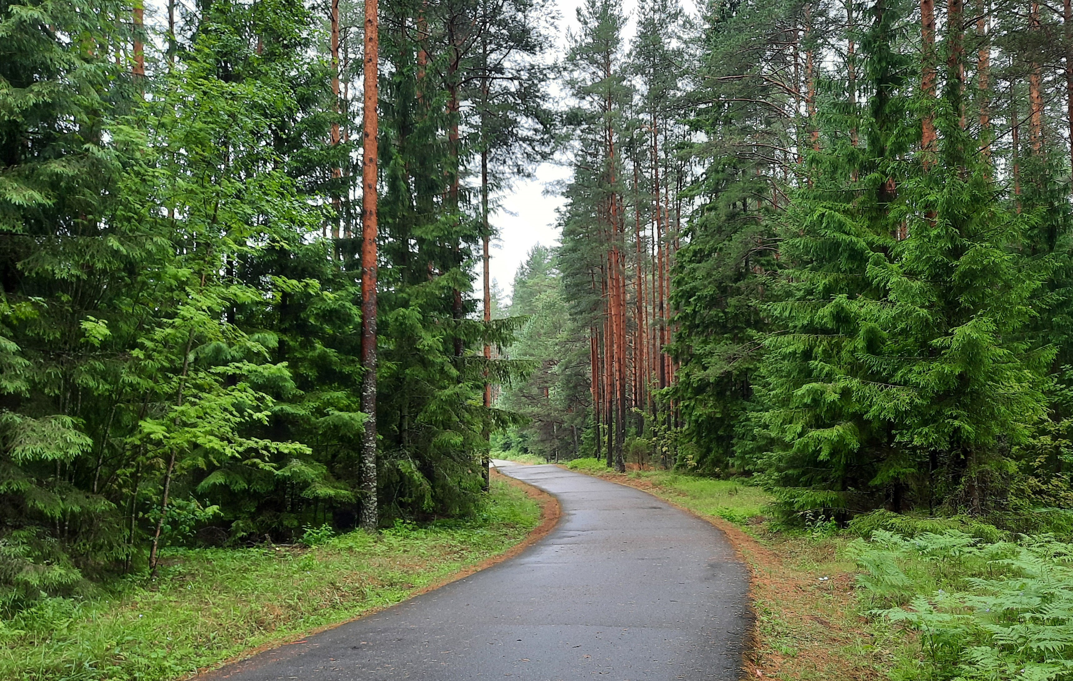 Пестово